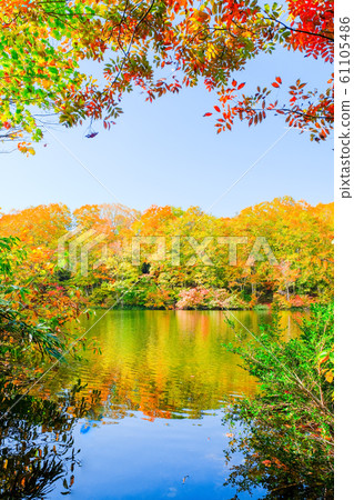 Autumn leaves at Myoko / Sennin Pond 61105486
