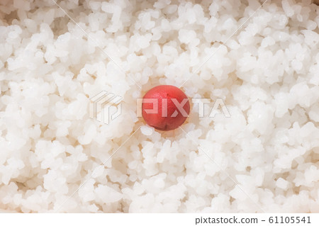 Japanese style famous lunch box (bento) 61105541