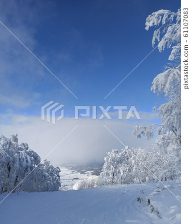 Snow scenery Ski area Snow Forest Winter Snow scenery Ski area Snow Forest Winter 61107083