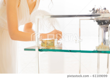 Marriage pledge quill pen bride 61109099