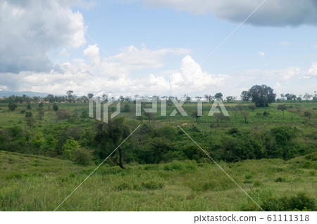 Tanzania landscape Tanzania landscape 61111318
