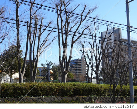 名護長廊。 。平靜的海濱長廊! 。 。 (笑) 。 名護長廊。 。平靜的海濱長廊! 。 。 (笑) 。 61112517
