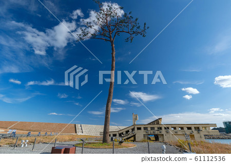 [Iwate Prefecture Rikuzentakata] Scenery of Takada Matsubara ruins and hope for the future 61112536
