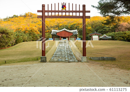Scenery Scenery 61113275