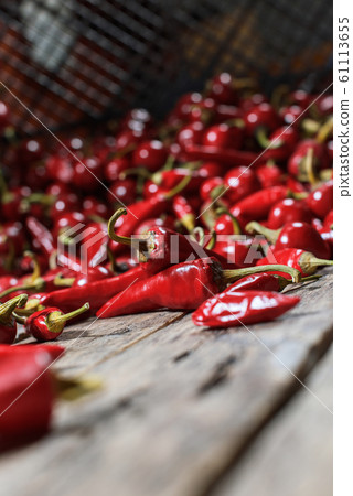 Red hot chili pepper scattered on wooden. Country Red hot chili pepper scattered on wooden. Country 61113655