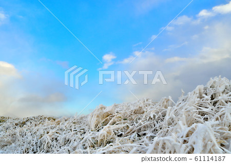 Winter mountain Winter mountain 61114187