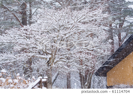 停在暴風雪的日子 61114704