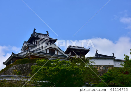 Fukuchiyama Castle　 61114733