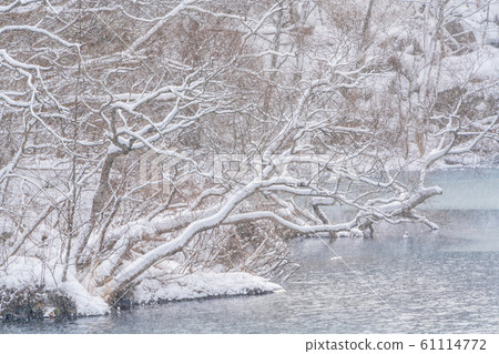 福島縣北尾原村冬季越木沼（Bisammonuma） 61114772