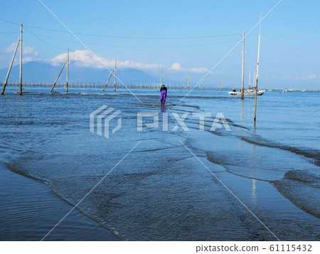 熊本縣宇土半島有明海 熊本縣宇土半島有明海 61115432