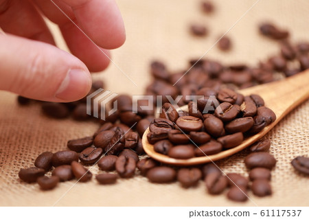 Coffee beans (red beans small grains roasted food and beverage drink drink blend caffeine copy space) 61117537
