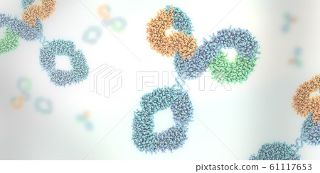 Multicolored anitibody or immunoglobulin Multicolored anitibody or immunoglobulin 61117653
