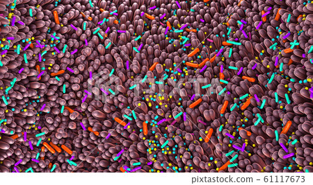 Germs in the human intestines called microbiome 61117673