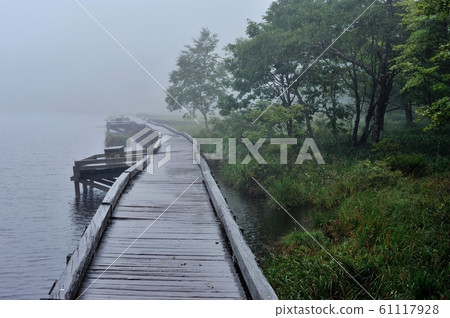 Take a picture of the wet wooden path of the high moor at Akagiyama Kakumanbuchi in late summer 61117928