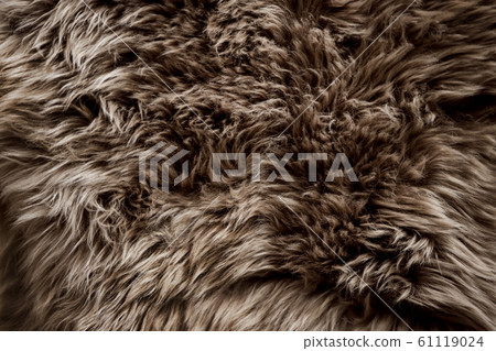 Closeup of Brown Fur Texture. Smooth Fluffy and 61119024