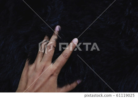 Closeup of Hand Touching Black Fur Fabric Texture. 61119025