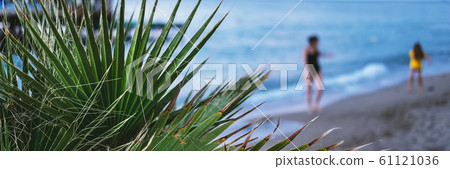 Bright green tropical leaf Bright green tropical leaf 61121036