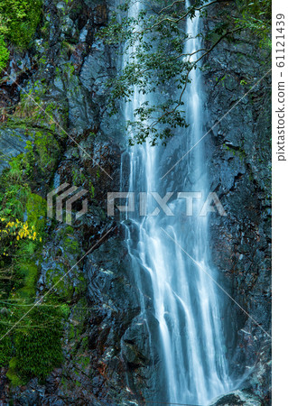 秋天的uga尾瀑布[福岡縣] 61121439