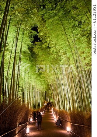 Arashiyama Flower Light Path 2019 Arashiyama Flower Light Path 2019 61122951