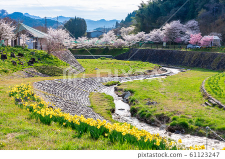 本鄉櫻花奈良大田 61123247