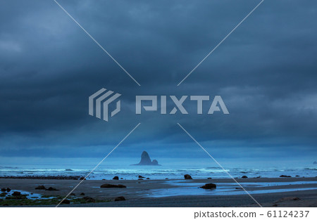 Olympic coast 61124237