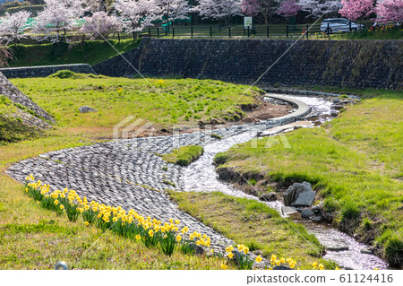 奈良縣本田市宇田市的za櫻 61124416