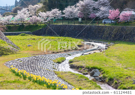 奈良縣本田市宇田市的za櫻 61124481