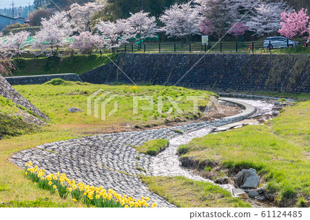 本鄉櫻花奈良大田 61124485