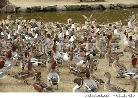 岡山美山公園 61125420