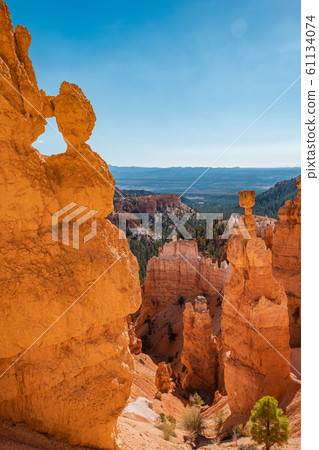 Bryce Canyon 61134074