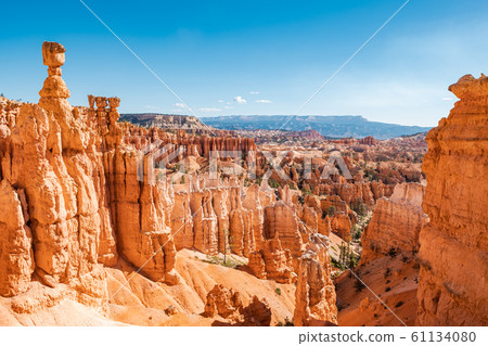Bryce Canyon 61134080