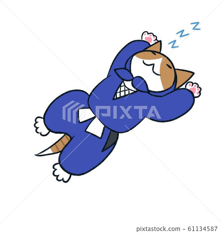 睡在忍者背上睡覺的貓 睡在忍者背上睡覺的貓 61134587