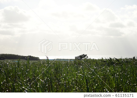 Hateruma Island World 61135171