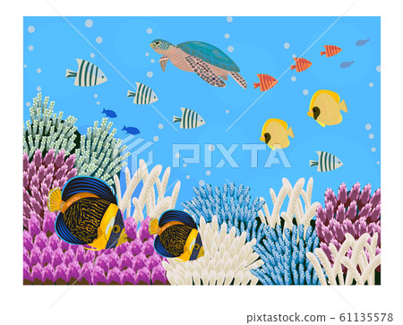Sea turtle with coral reef and tropical fish Sea turtle with coral reef and tropical fish 61135578