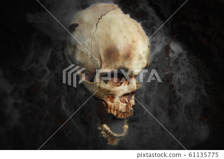 Skull of a dead man in on the ground Skull of a dead man in on the ground 61135775