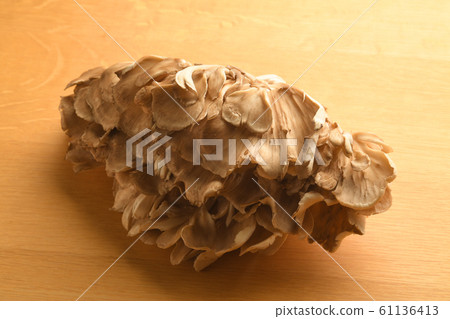 Maitake Maitake Maitake Maitake 61136413