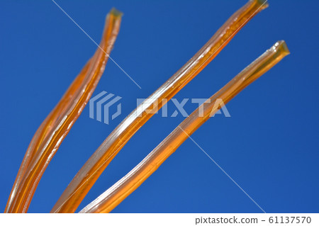 Stick-shaped glue, glue, Japanese glue, art supplies, adhesive, image material, blue sky background 61137570