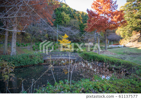 本莊市蓮池觀光農業中心小平町小平 本莊市蓮池觀光農業中心小平町小平 61137577