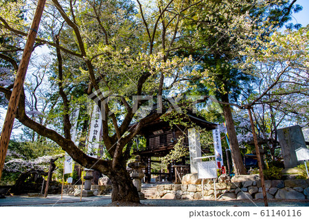 Erinji Temple, Sanshu, Koshu City, Yamanashi Prefecture 61140116