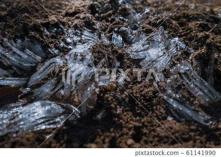 Frost pillar: Capillary phenomenon Azumino 61141990