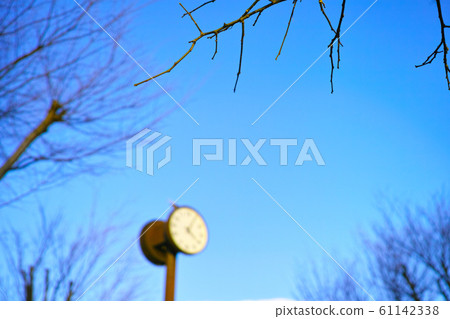 冬季影像公園 冬季影像公園 61142338