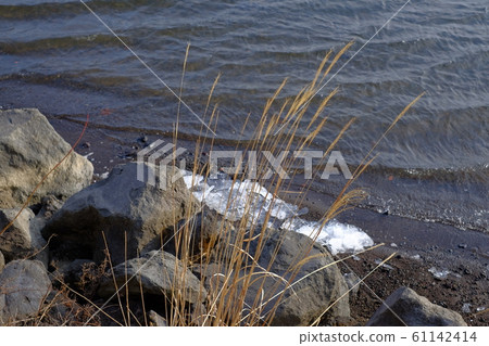 Susuki on lakeside Susuki on lakeside 61142414