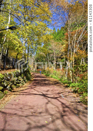 入口附近的秋天東京都森林坂坂坡 61143308