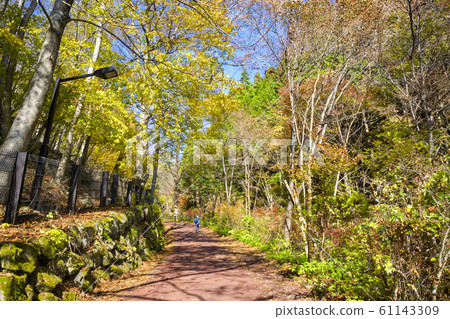 入口附近的秋天東京都森林坂坂坡 61143309