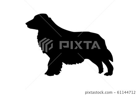 動物剪影寵物狗9 動物剪影寵物狗9 61144712