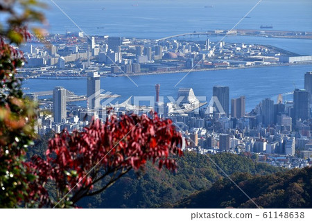 Kobe Port Tower and Kobe Port in Autumn Sky Kobe Port Tower and Kobe Port in Autumn Sky 61148638