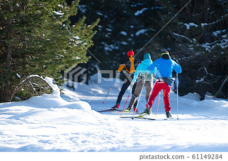 Group of Nordic cross-country skiers Group of Nordic cross-country skiers 61149284