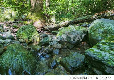 Ryumon大壩 Ryumon大壩 61149572