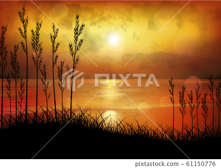 A Tropical Sunset or Sunrise with Palm Trees A Tropical Sunset or Sunrise with Palm Trees 61150776