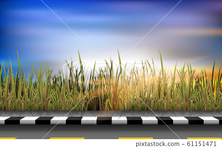 landscape of rural road in the meadow 61151471